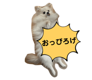 677689575
