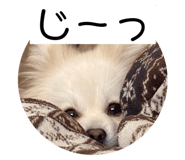 677689577