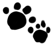 677695233