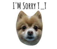 67771807
