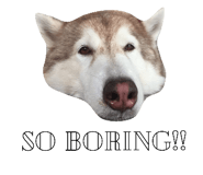 67771809