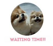 67771816