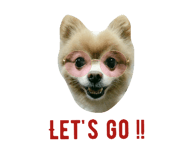67771820
