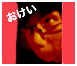 677731287
