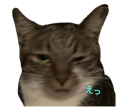 677768351
