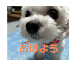 677773443