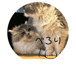 677776823