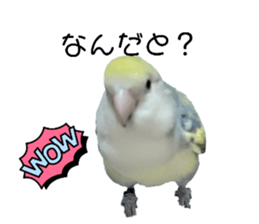 677778373