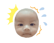 677793444