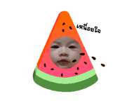 677793445
