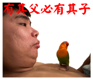 677800978