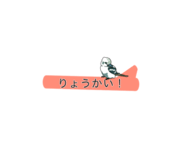 677811841