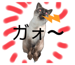677846052
