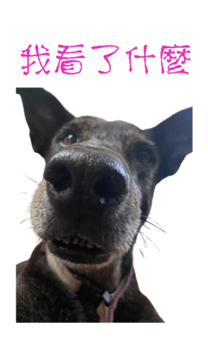 677889382