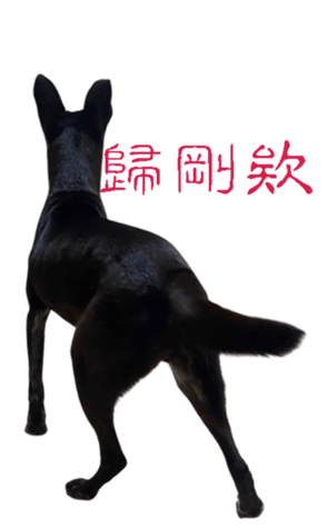 677889387