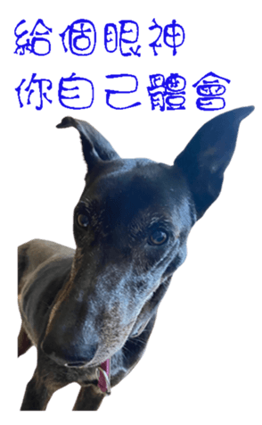 677889398