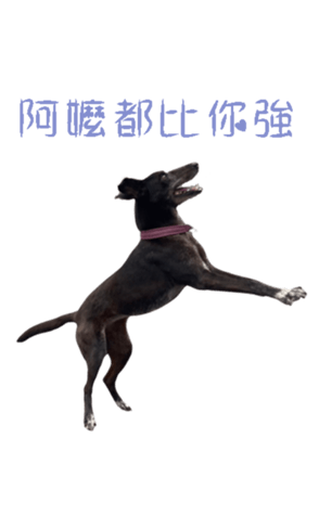 677889400