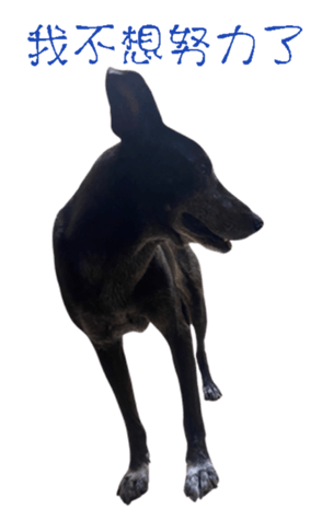 677889404