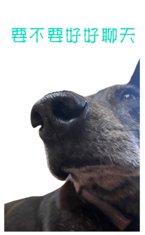 677889409