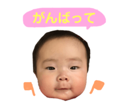 67794266