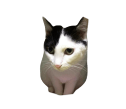677998096