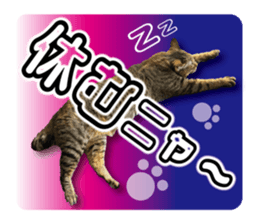 677998541