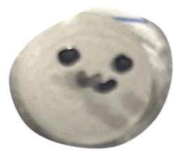677999159