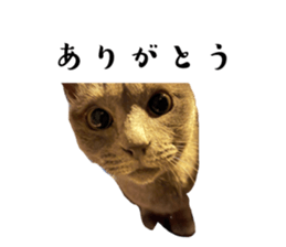 677999632