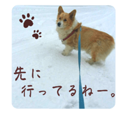 678008799