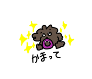 678019517