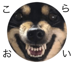 678020203