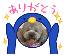 678024036