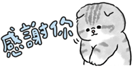 678027154