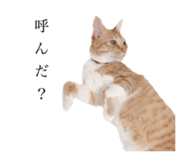 678028567