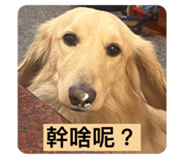 678054438
