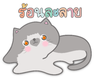 678063389