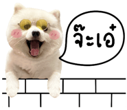 678076902