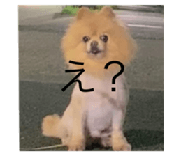 678083952