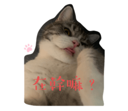 678085935