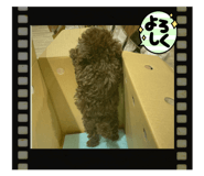678088458