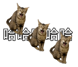 678094996