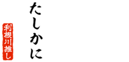 678129075