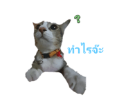 678143550
