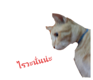 678143555
