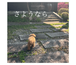 678147154