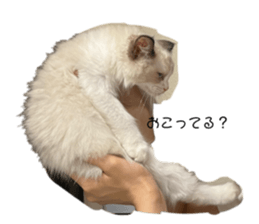 678157774
