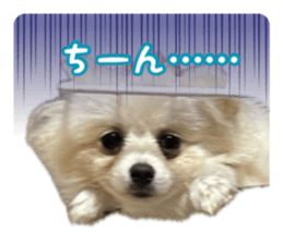 678167459