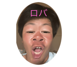 678176553