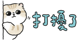 678221271
