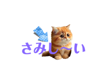 678233980